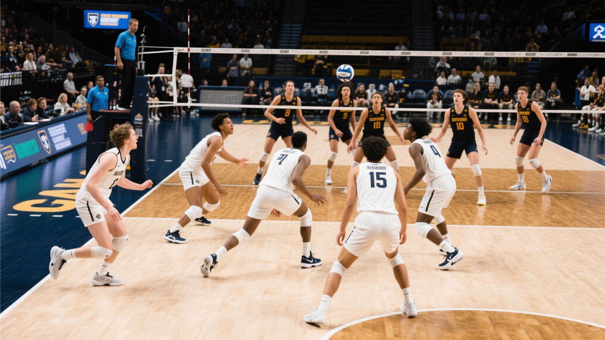 关于世界杯滚球